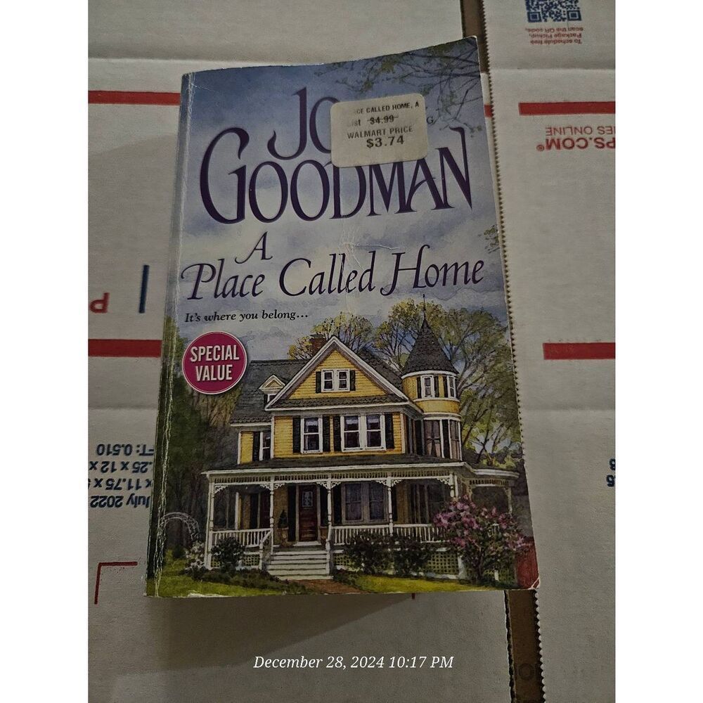 A place called home by Jo Goodman zebra contemporary romance books isbn 97814201